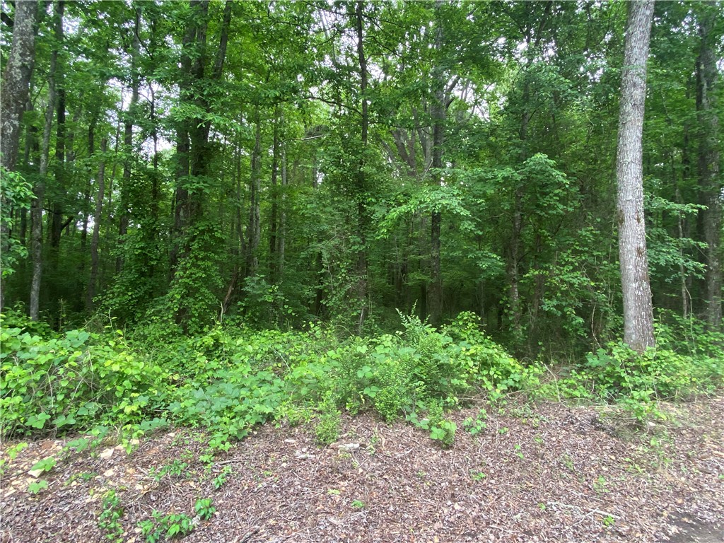 5973 LEE Road 70
