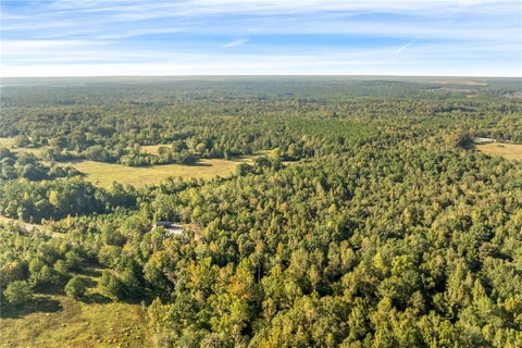 Photo of 0 COUNTY ROAD 17, Tuskegee, AL 36083 (MLS # 182727)