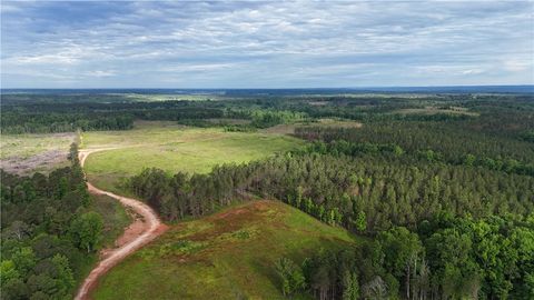 Photo of 0 COUNTY ROAD 278, Five Points, AL 36855 (MLS # 174838) Photo of 0 COUNTY ROAD 278, Five Points, AL 36855 (MLS # 174838)