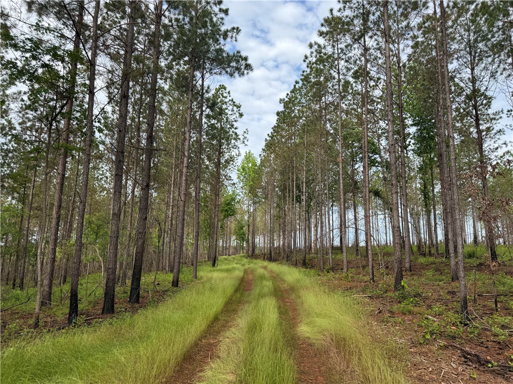 0 COUNTY ROAD 278
