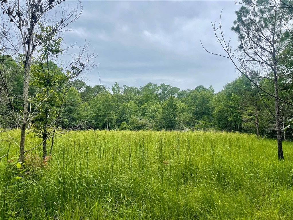 802 COUNTY ROAD 50