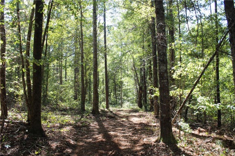 Photo of 0 EAST MILL Road, Goodwater, AL 35072 (MLS # 182588)
