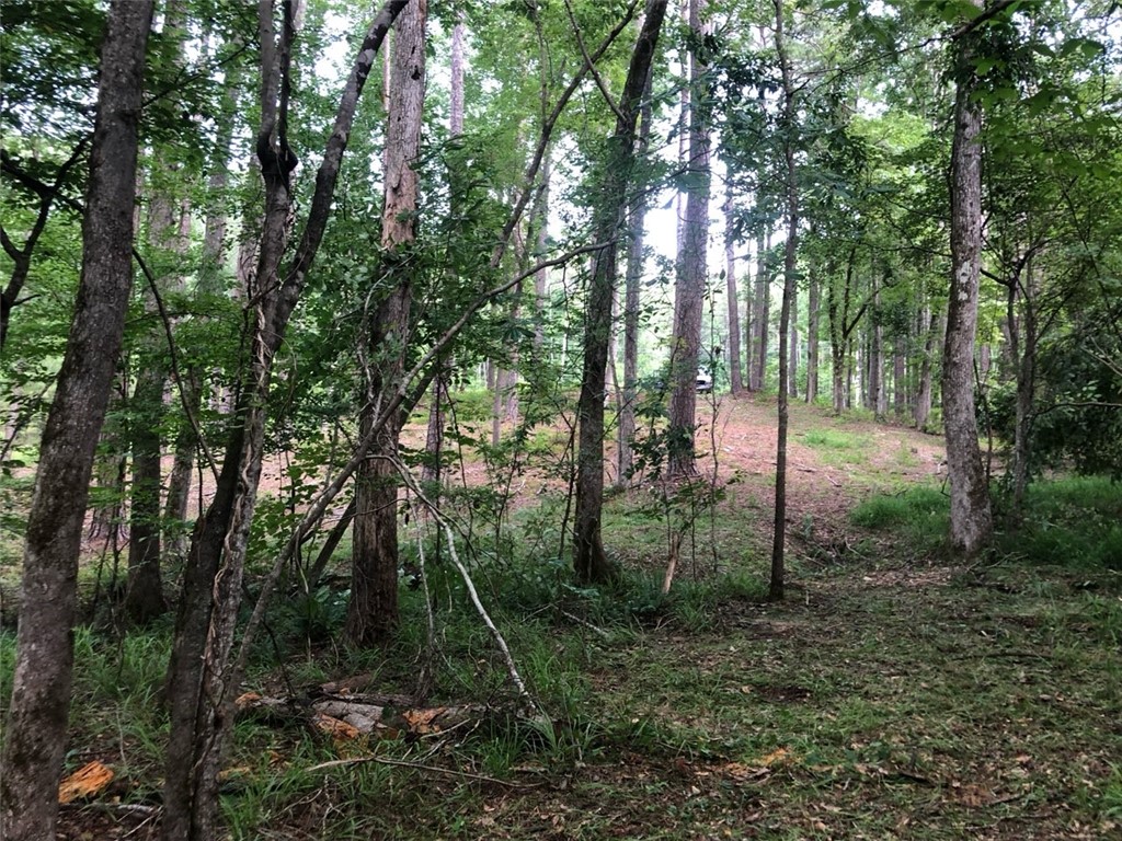 Lot 1 and 2 AMBER Drive