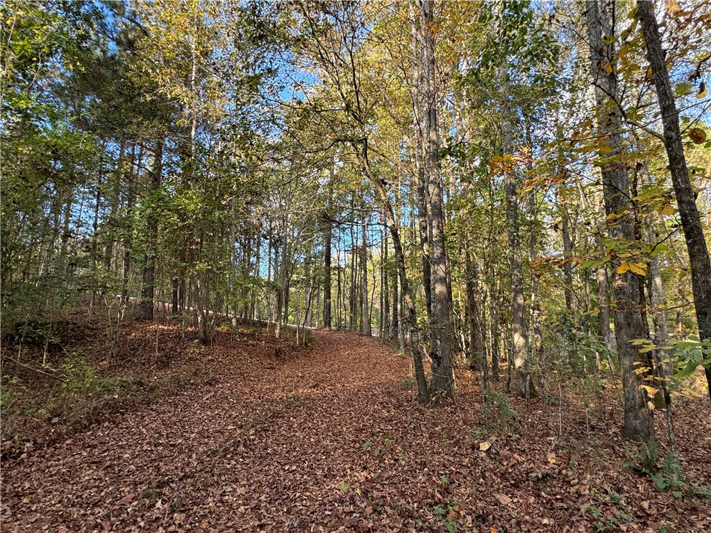 0 COUNTY ROAD 278