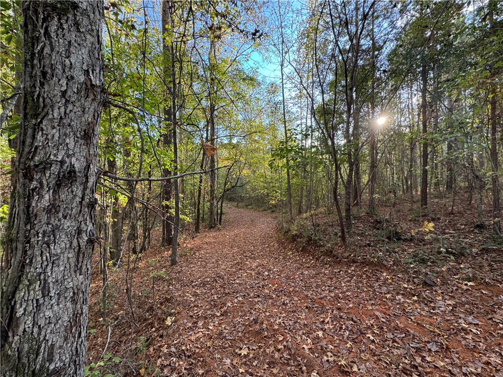 0 COUNTY ROAD 278