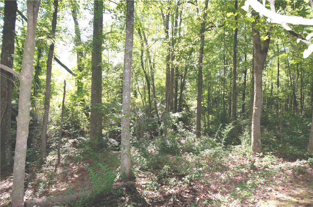 1406 GWEN MILL Drive