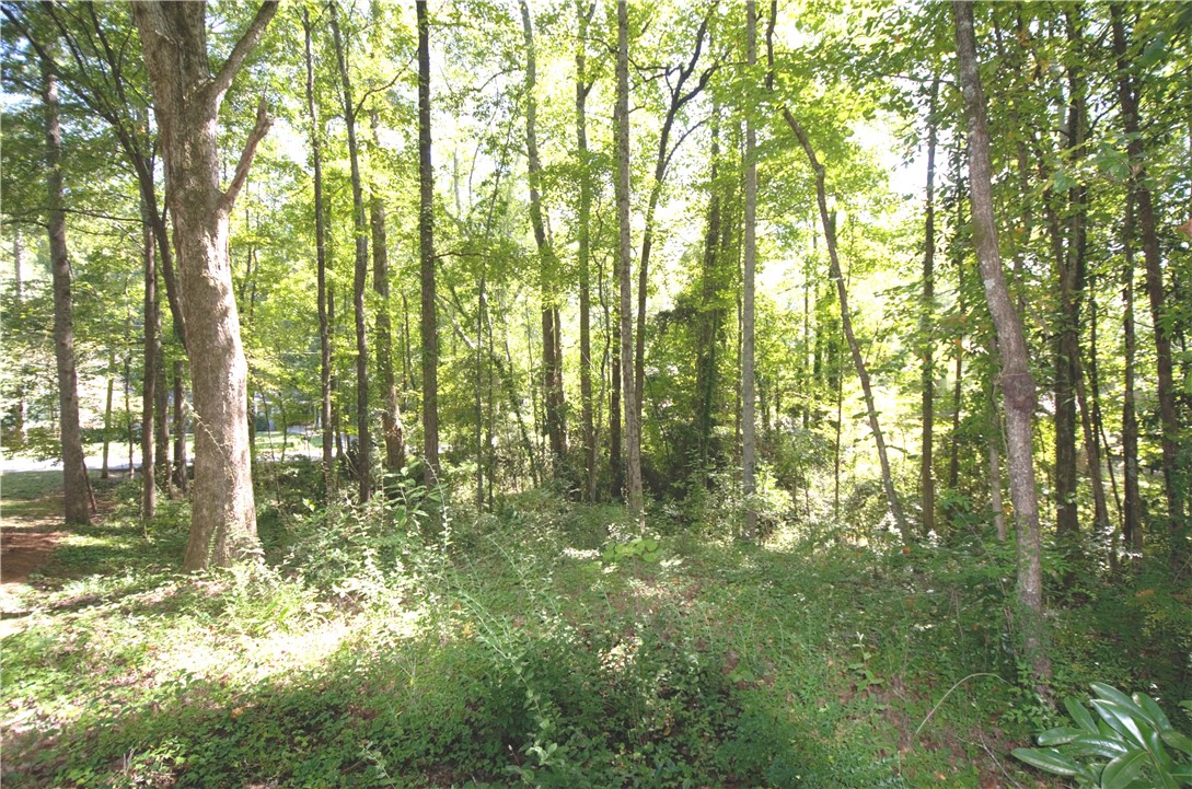 1406 GWEN MILL Drive