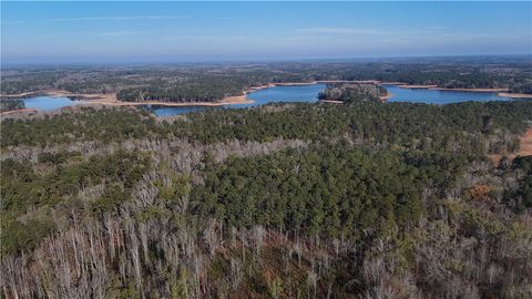 Photo of 0 COUNTY ROAD 222, Lanett, AL 36863 (MLS # 177739)