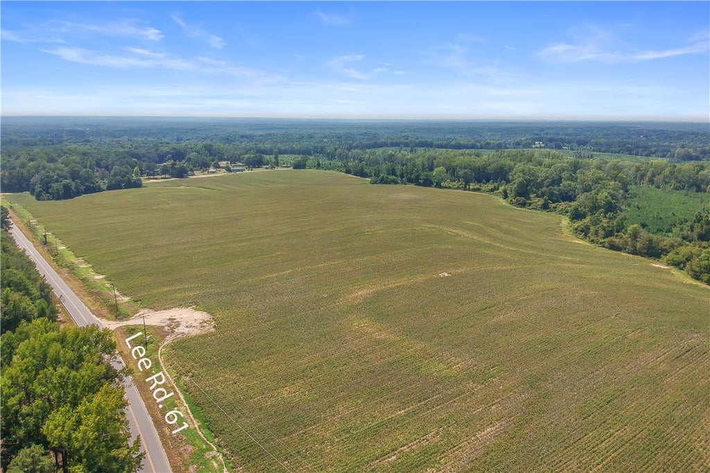 Photo of 00 LEE ROAD 61, Auburn, AL 36832 (MLS # 182487)