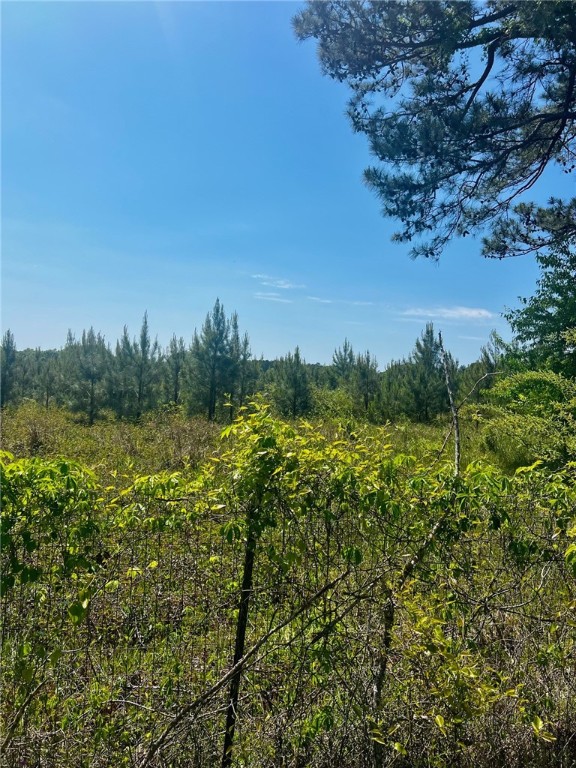 12977 LEE ROAD 72