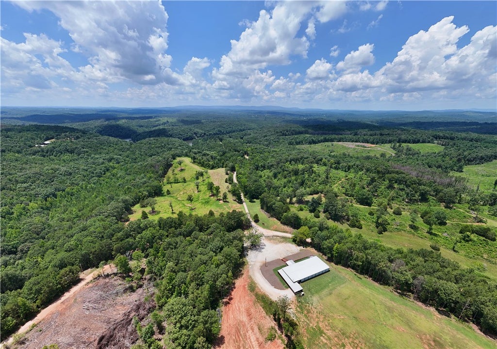 Photo of 1310 COUNTY ROAD 269, Wedowee, AL 36278 (MLS # 181601)