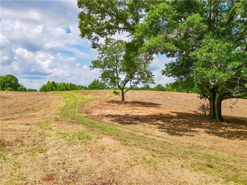 Photo of 0 GENTRY Drive, Ashland, AL 36251 (MLS # 182483)