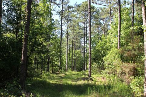 Photo of 0 HAYES MILL, Notasulga, AL 36866 (MLS # 180543)