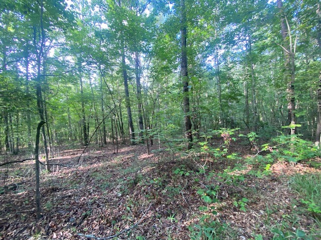 0 WINDWOOD Drive