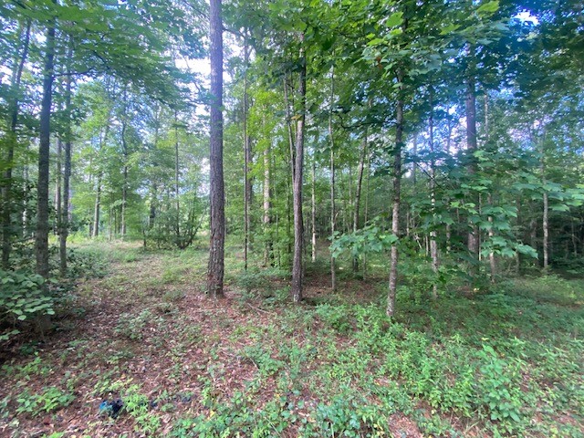 0 WINDWOOD Drive