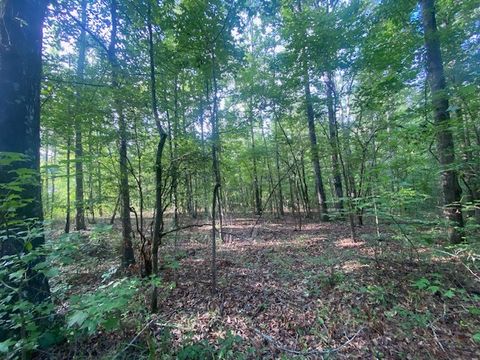 0 WINDWOOD Drive Lanett AL 36863