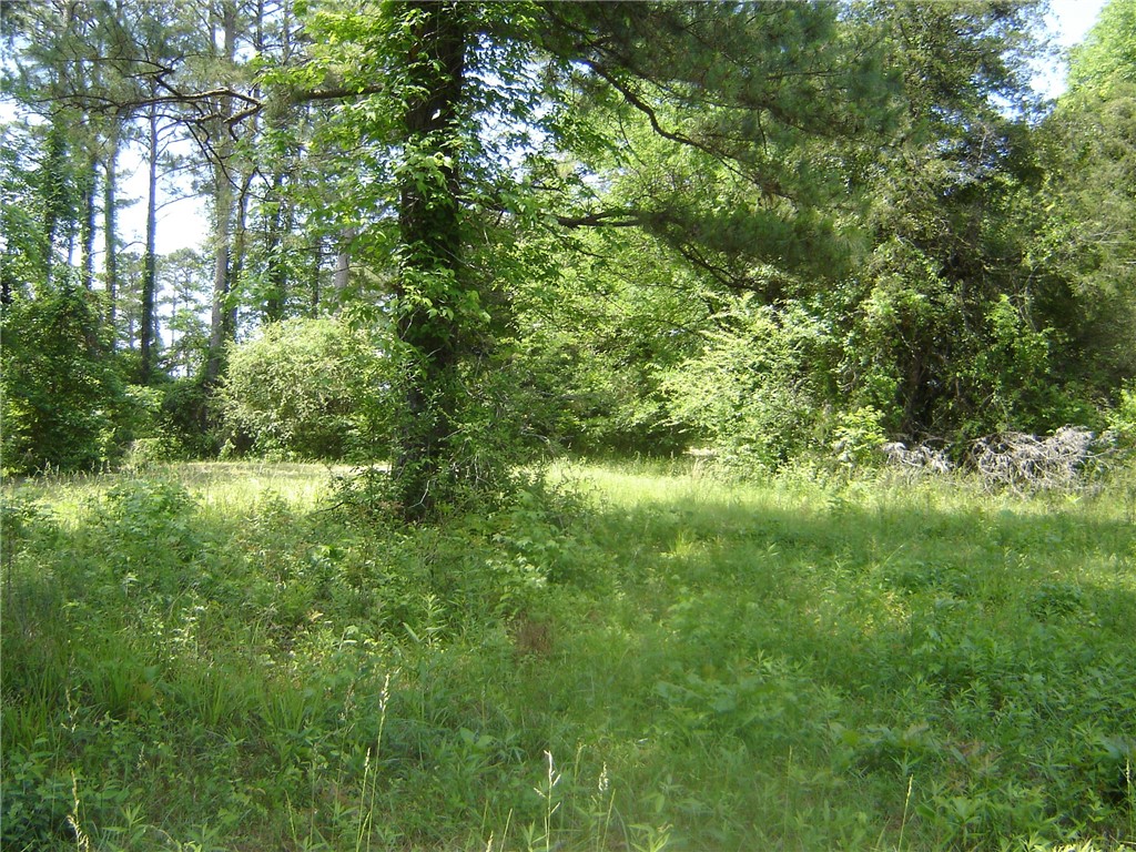 0 COUNTY ROAD 213