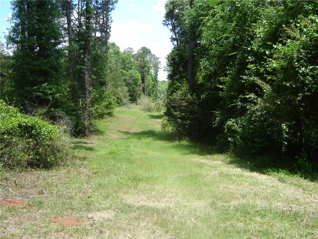 0 COUNTY ROAD 213