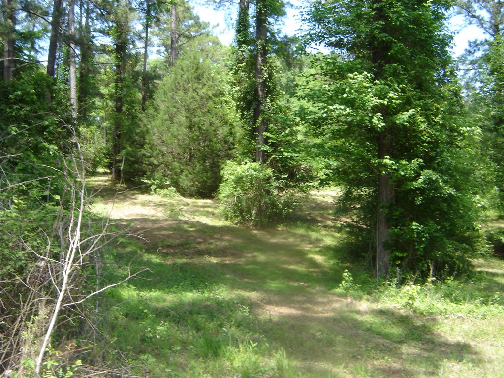 0 COUNTY ROAD 213