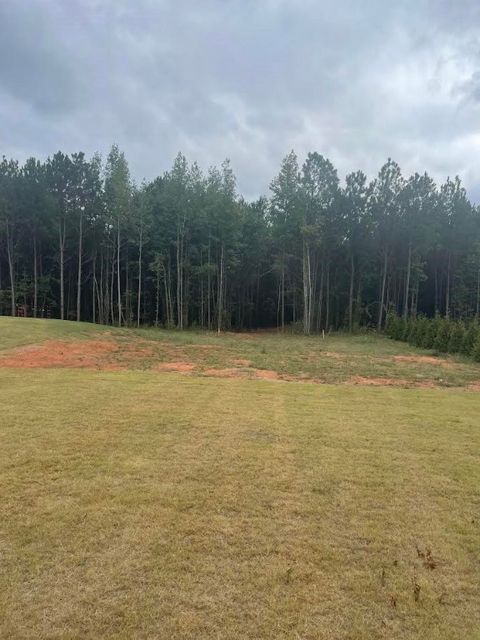 Lot 2A-1 LEE ROAD 155 Salem AL 36874
