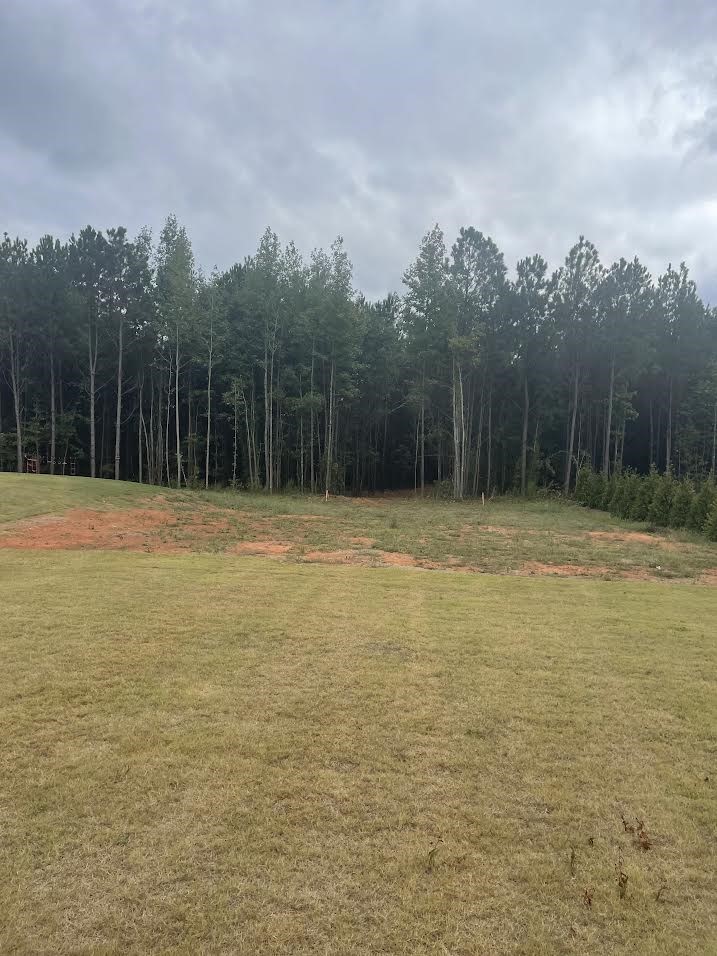 Photo 1 of 10 — Lot 2A-1 LEE ROAD 155, Salem, AL 36874