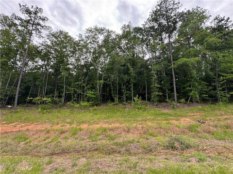 Photo of 2681 GREENBRIAR Lane, Auburn, AL 36830 (MLS # 180918)