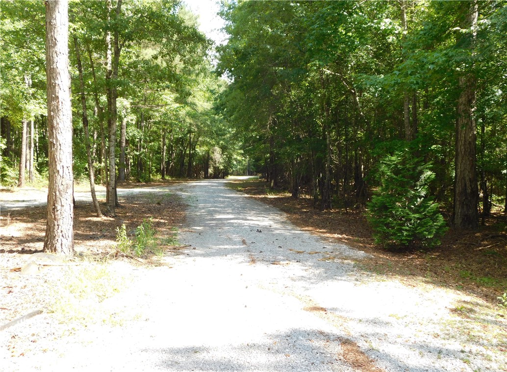 1281 LEE ROAD 259