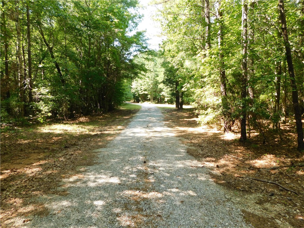 1281 LEE ROAD 259