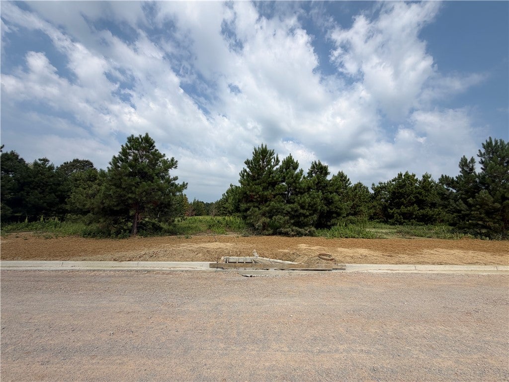 Photo of 16 HOMESTEAD Lane, Smiths Station, AL 36877 (MLS # 182444)