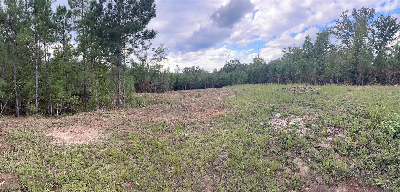 192 WHITETAIL Road