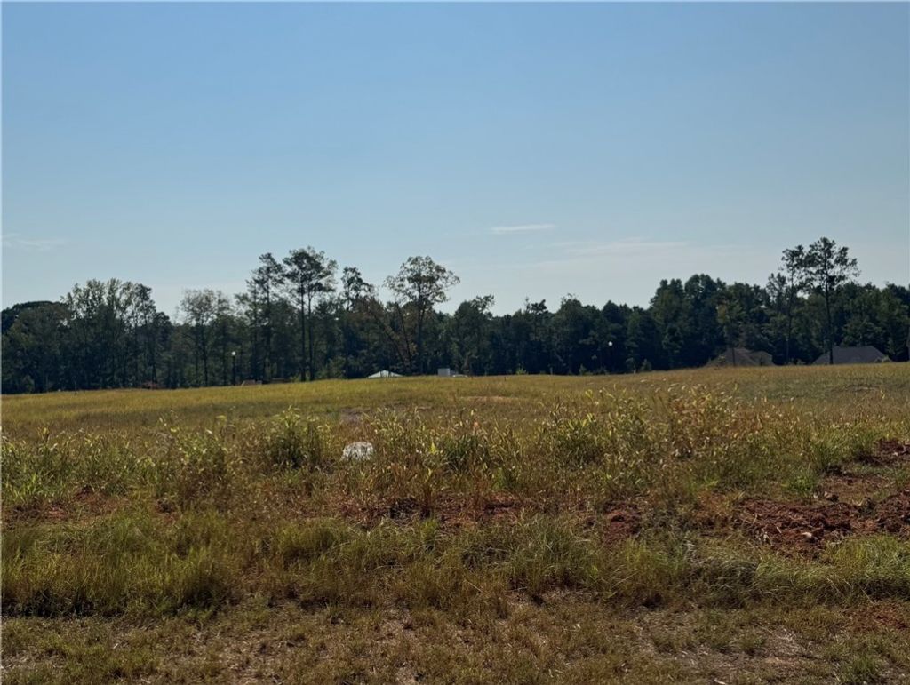 Photo of 18 LONG LEAF Lane, Opelika, AL 36804 (MLS # 176704)