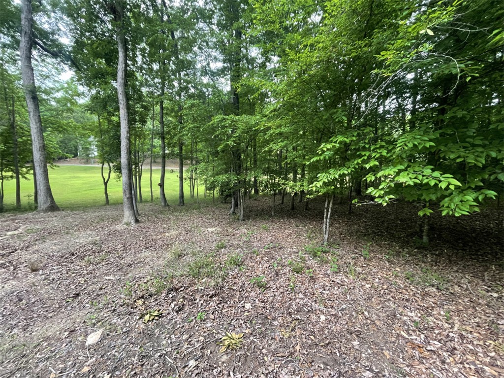 0 GREENVIEW Lane