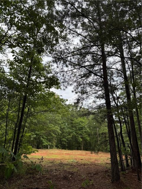 0 STATE HWY 188 Waverly AL 36879