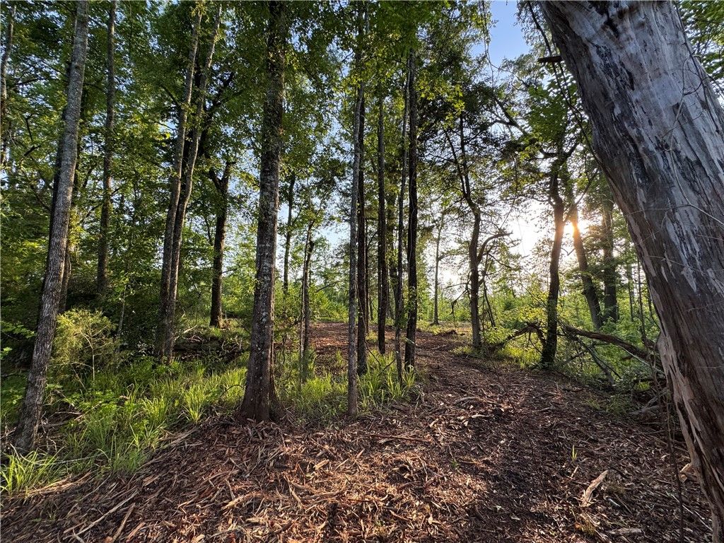 Photo of 0 TALLAPOOSA Road, Camp Hill, AL 36850 (MLS # 175491)