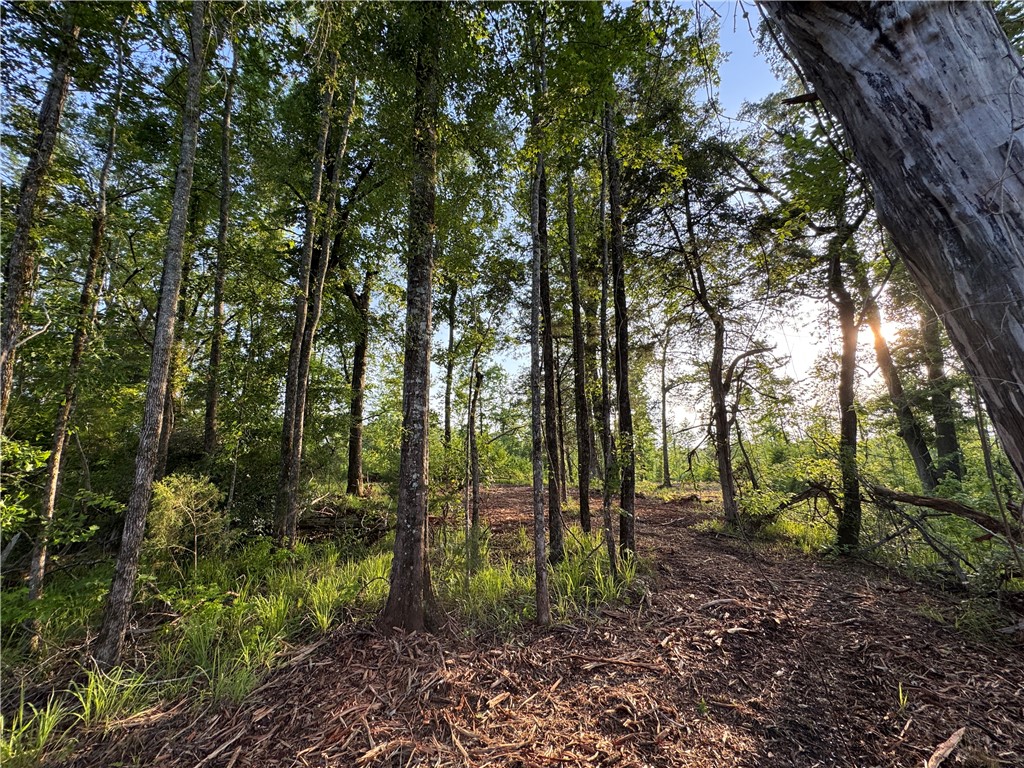 0 TALLAPOOSA Road