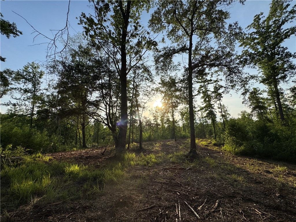 0 TALLAPOOSA Road