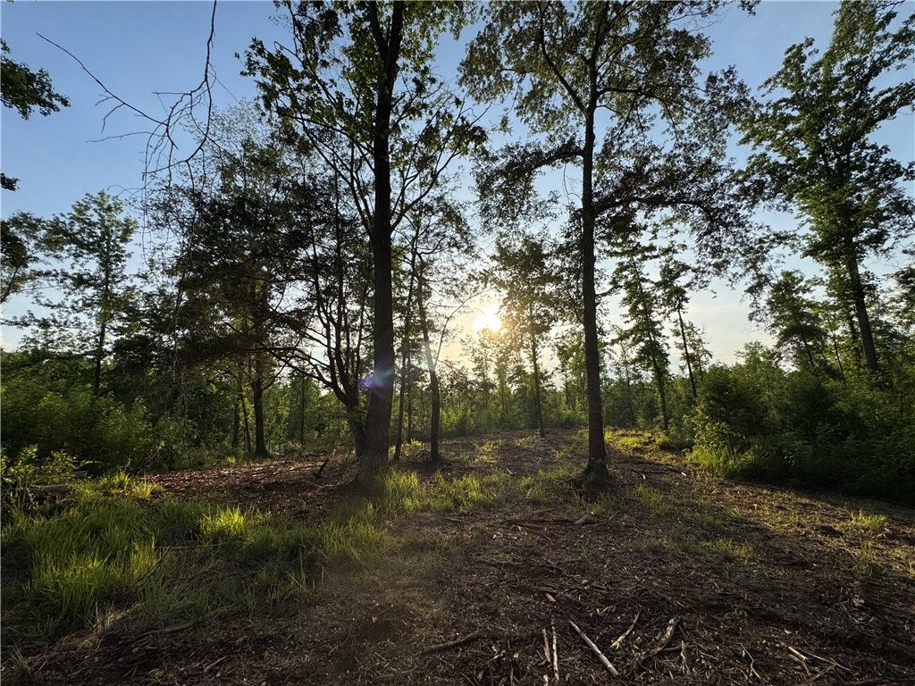 Photo of 0 TALLAPOOSA Road, Camp Hill, AL 36850 (MLS # 175491)