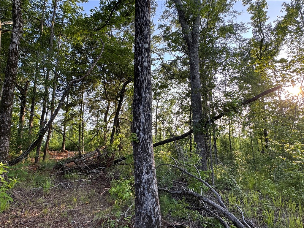 0 TALLAPOOSA Road