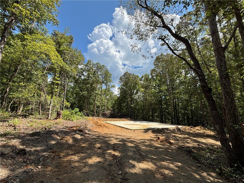 Photo of 86 W RIDGE Drive, Dadeville, AL 36853 (MLS # 181912)