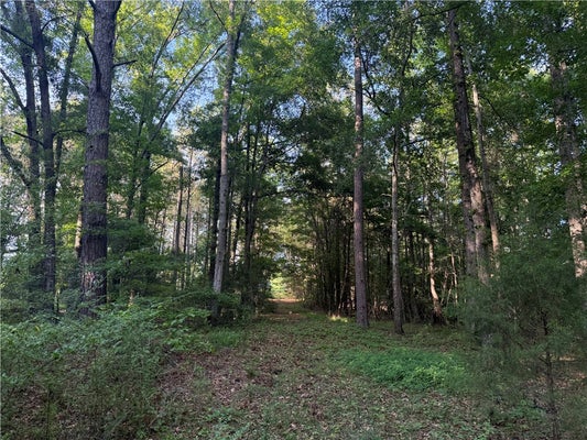 E MAIN ST, NOTASULGA, AL 36866 - Image ceaebdc6372aa02ed3636acab086ed26/1398998864