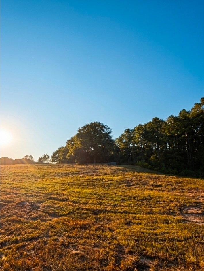 Lot 1 Natchez Trace RIFLE RANGE