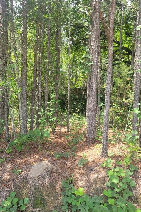 Photo of 1 O. B. BROWN Road, Auburn, AL 36830 (MLS # 180792)