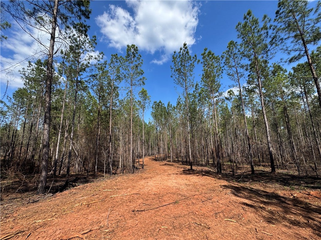 Photo of 0 BARRON'S BRIDGE, Dadeville, AL 36853 (MLS # 181110)