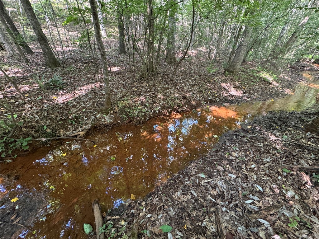 Photo of 0 BARRON'S BRIDGE, Dadeville, AL 36853 (MLS # 181110)