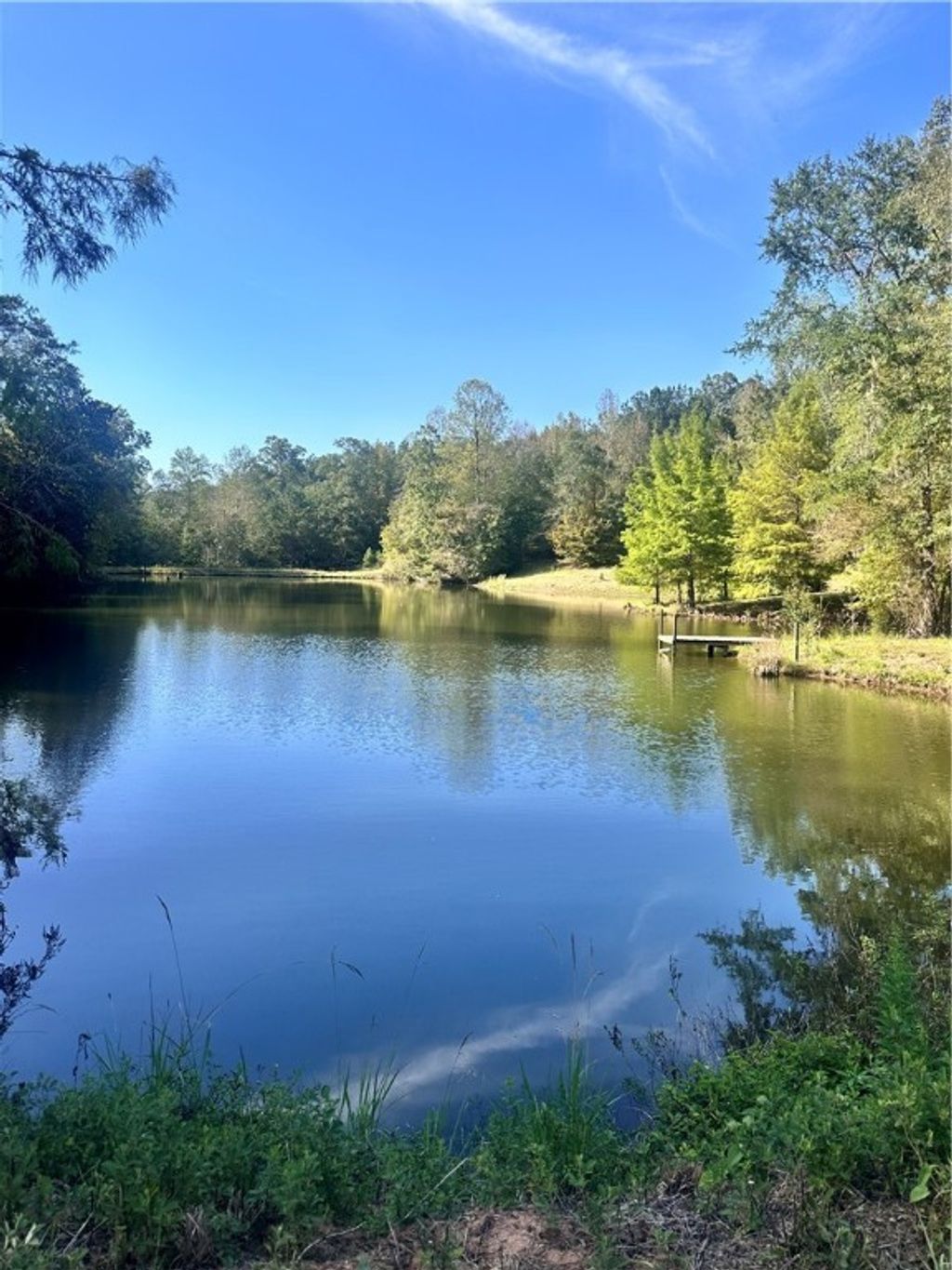 Photo of Skipperville, AL 36374 (MLS # 177181)