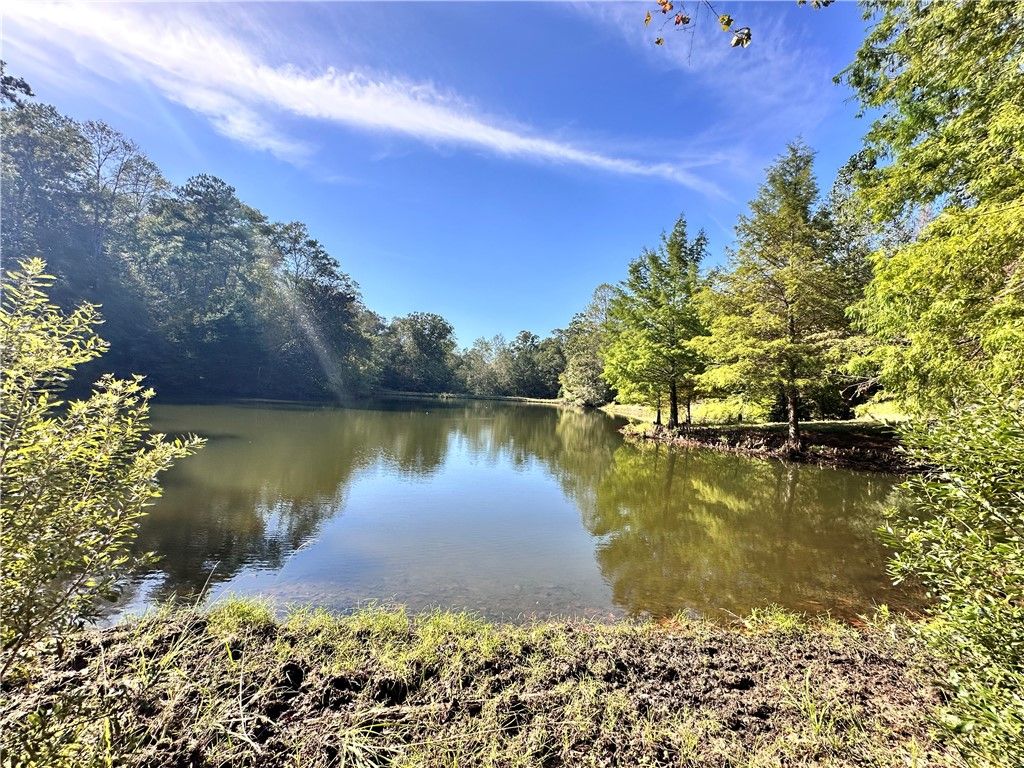 Photo of Skipperville, AL 36374 (MLS # 177181)