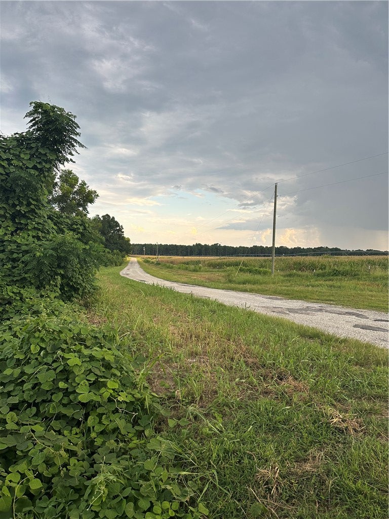 Photo of 0 COUNTY ROAD 91, Tuskegee, AL 36083 (MLS # 182164)