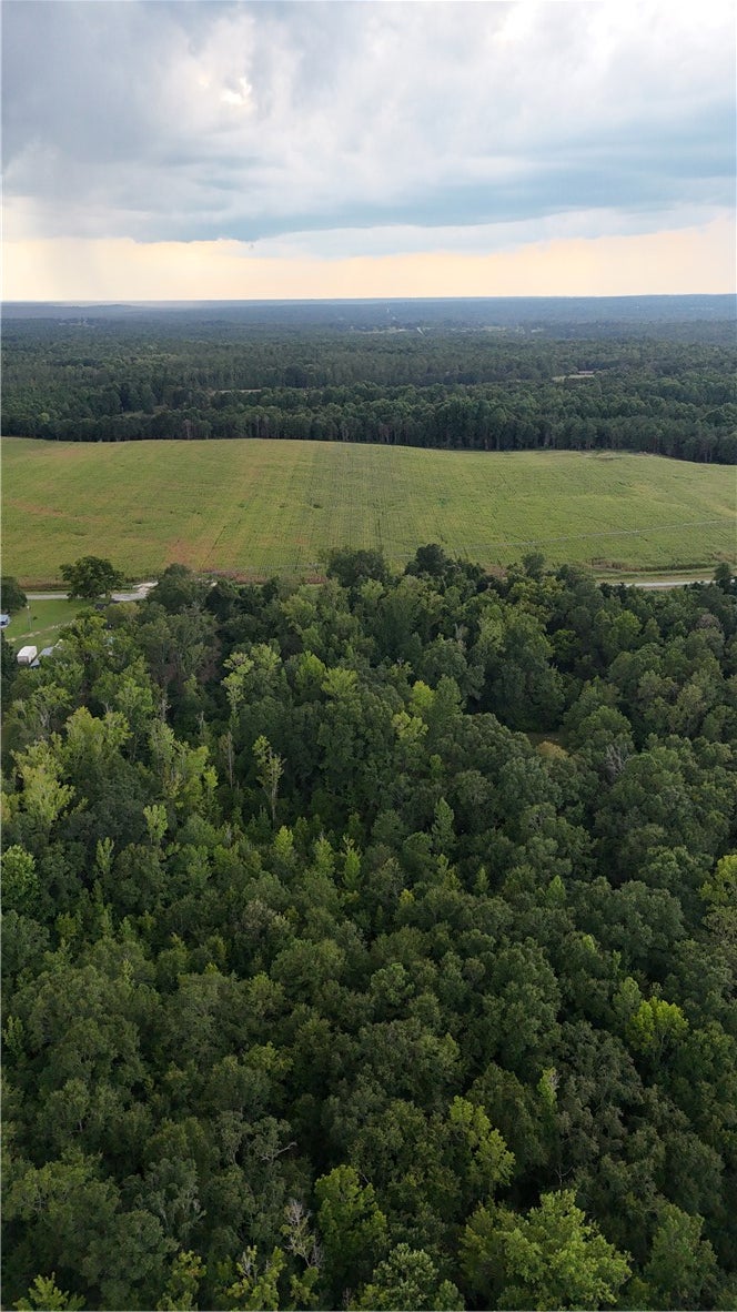 Photo of 0 COUNTY ROAD 91, Tuskegee, AL 36083 (MLS # 182164)