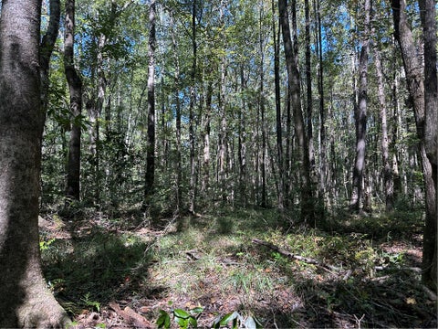 Photo of 0 COUNTY ROAD 91, Tuskegee, AL 36083 (MLS # 182164)