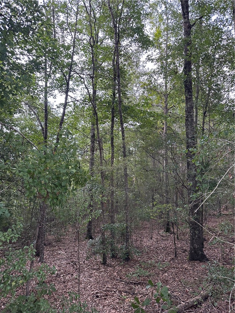 0 COUNTY ROAD 91